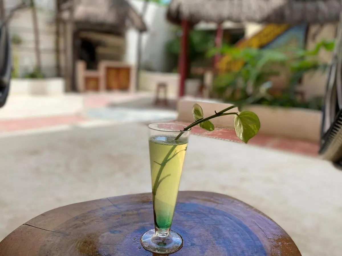 *** Hotel Aruma Kaak Isla Holbox Mexico